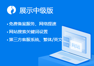 企业展示网站中级版