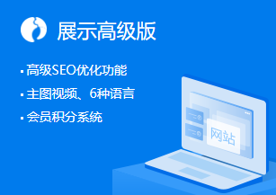 企业展示网站高级版