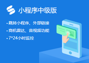 轻应用小程序中级版